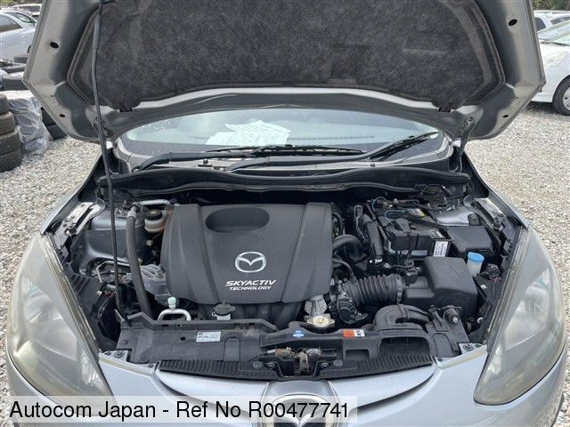 image 4