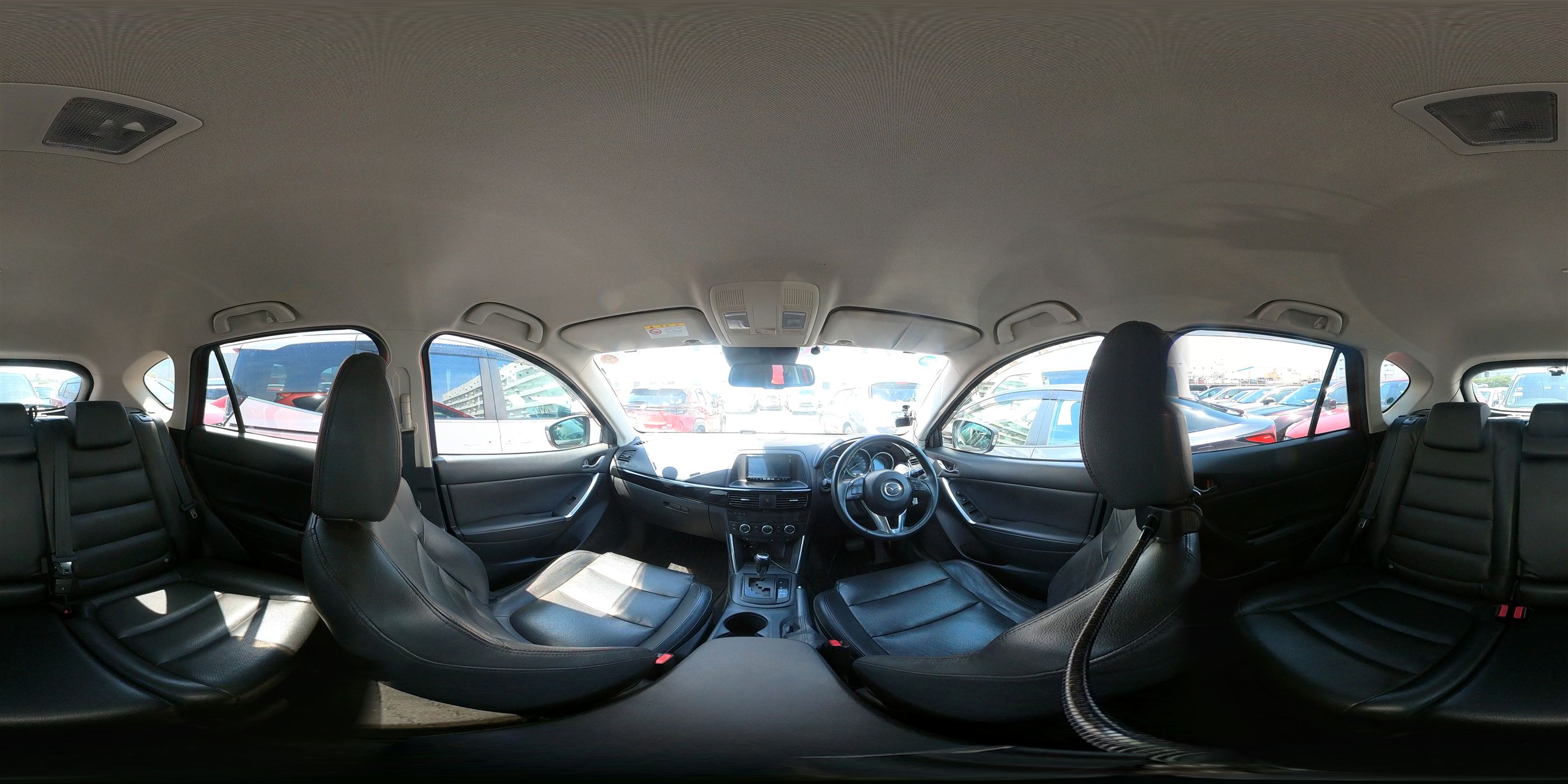 360 view