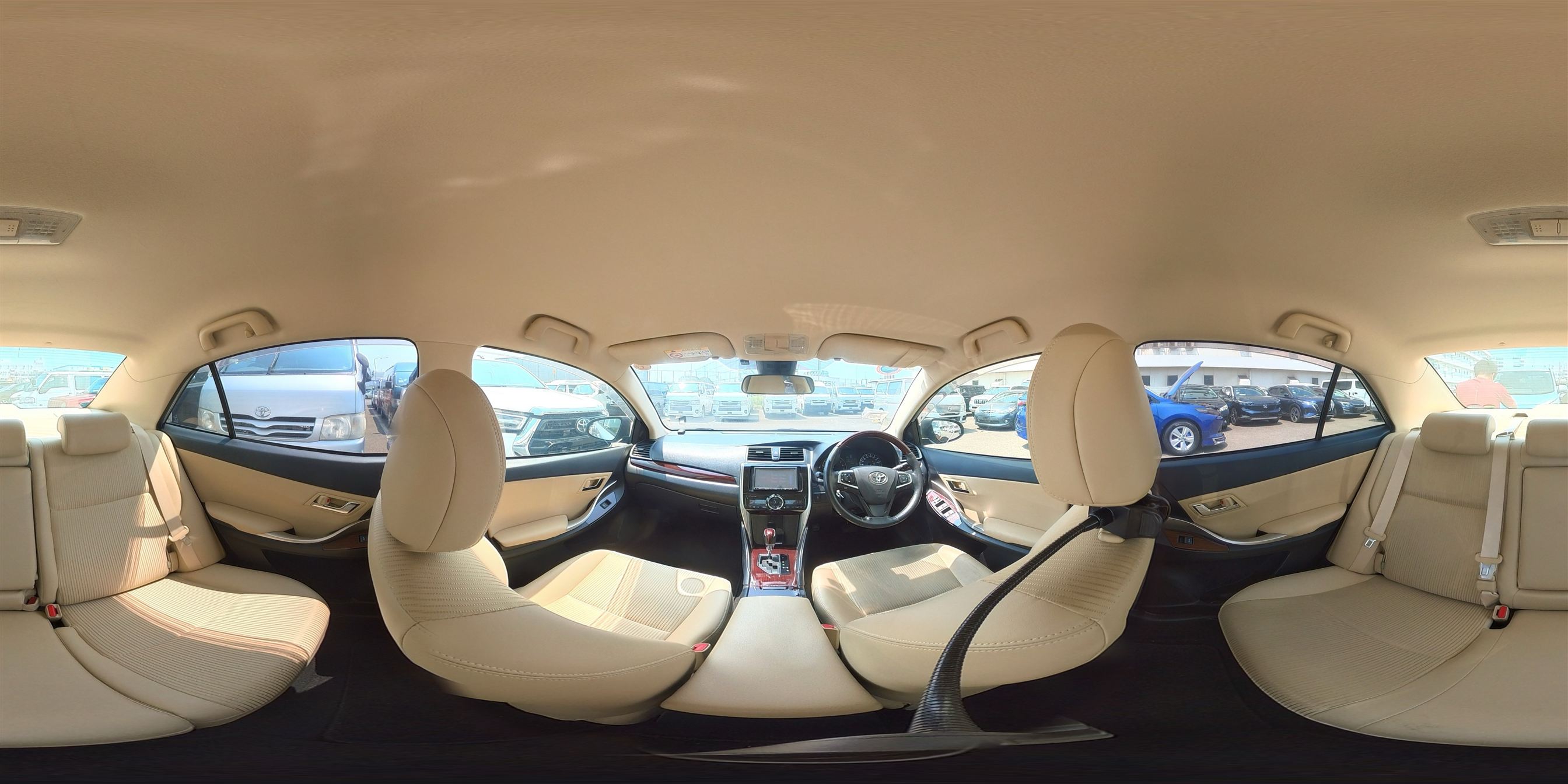 360 view