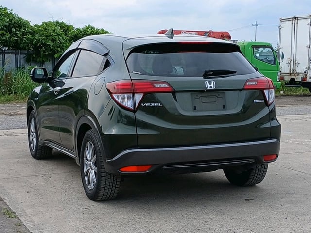 image 4