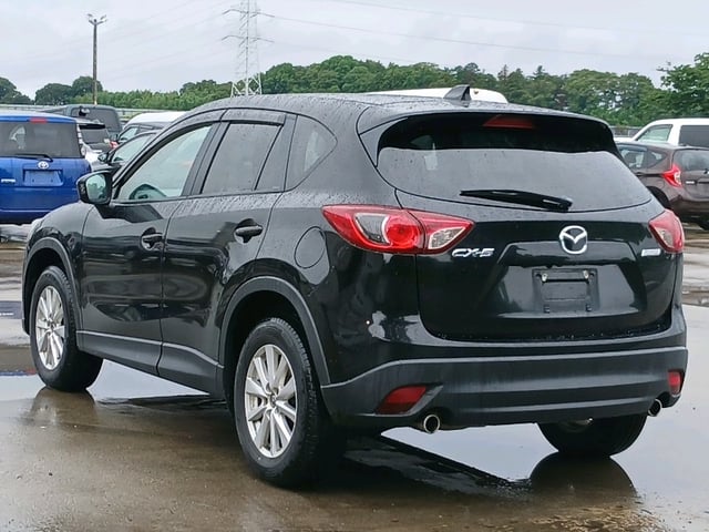 image 4