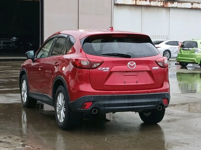 image 4