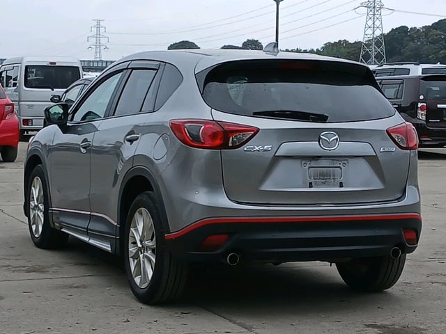 image 4