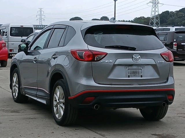 image 4