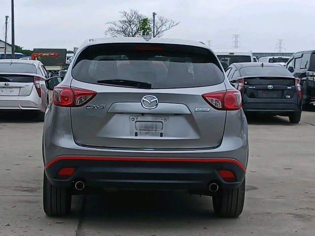 image 5