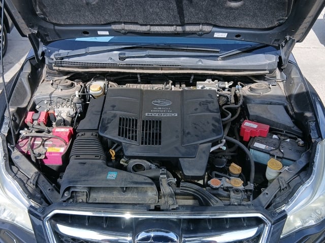 image 0