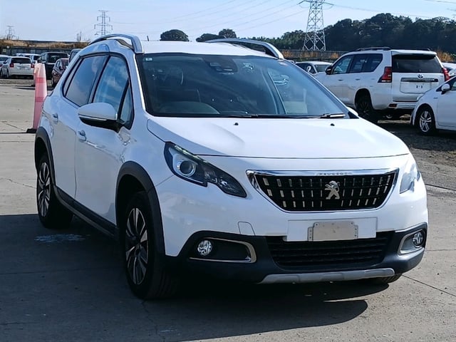 image 0