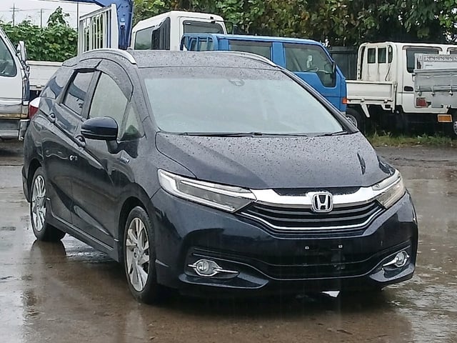 image 0