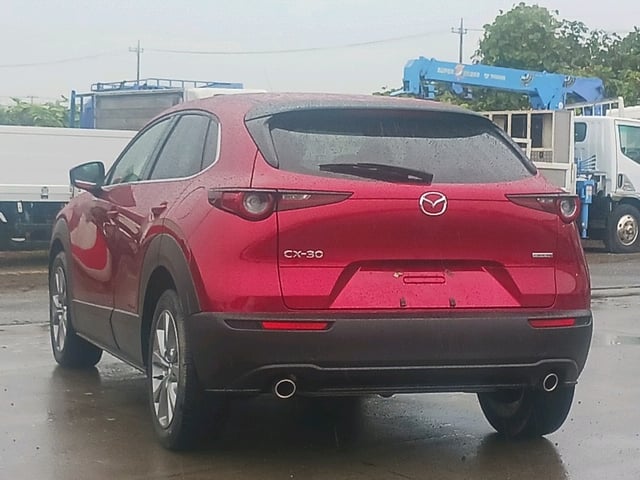 image 4